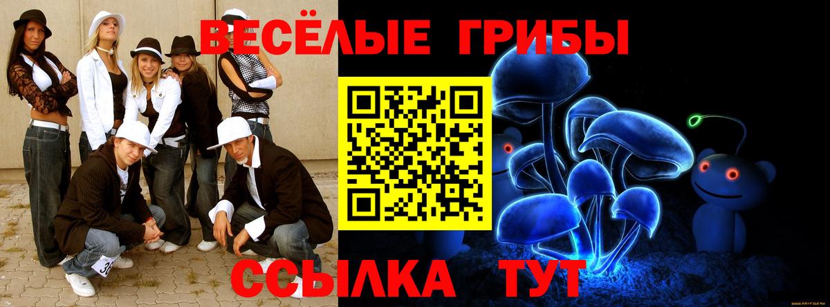 Псилоцибиновые грибы прущие грибы Родники