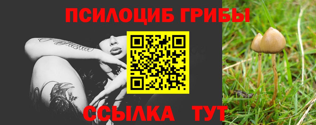 Псилоцибиновые грибы Psilocybine cubensis  Вход с VPN  Родники  Псилоцибиновые грибы мицелий 